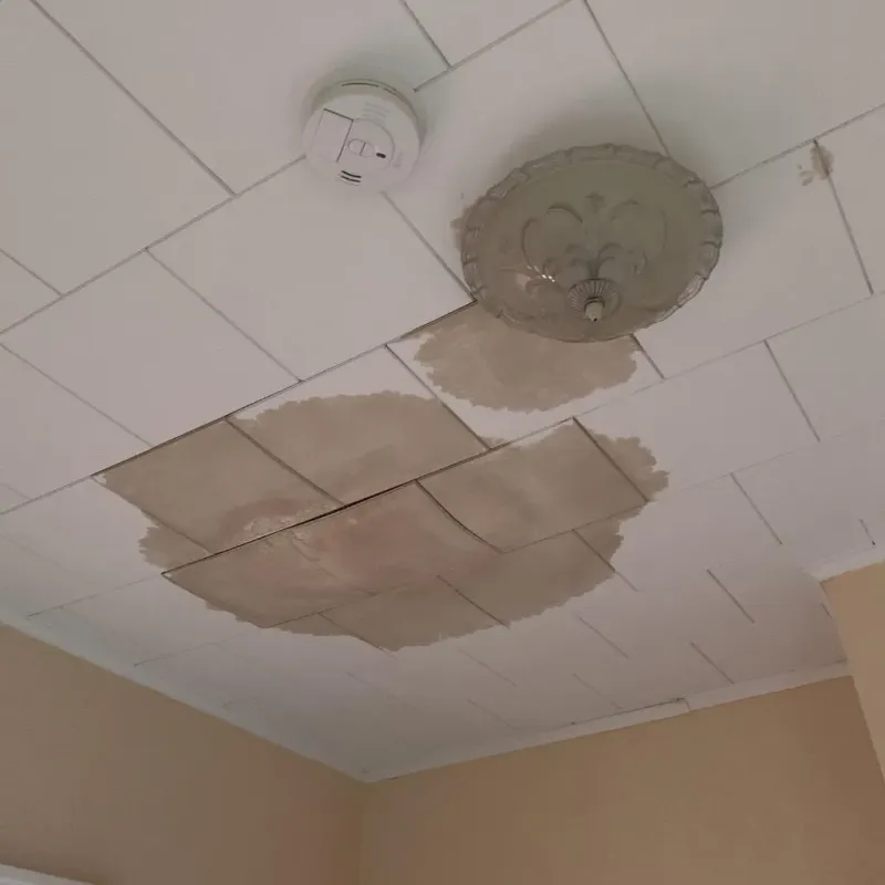 Ceiling Water Damage Repair in Lake Waccamaw, NC