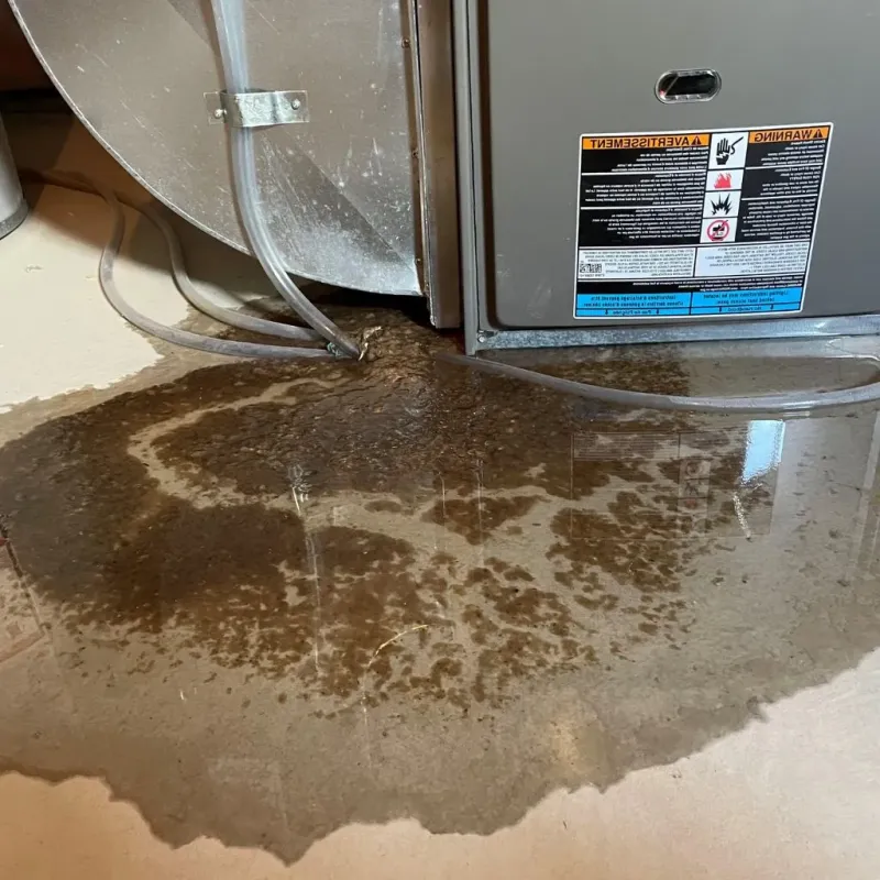 Pipe Burst and Leak Restoration in Lake Waccamaw, NC